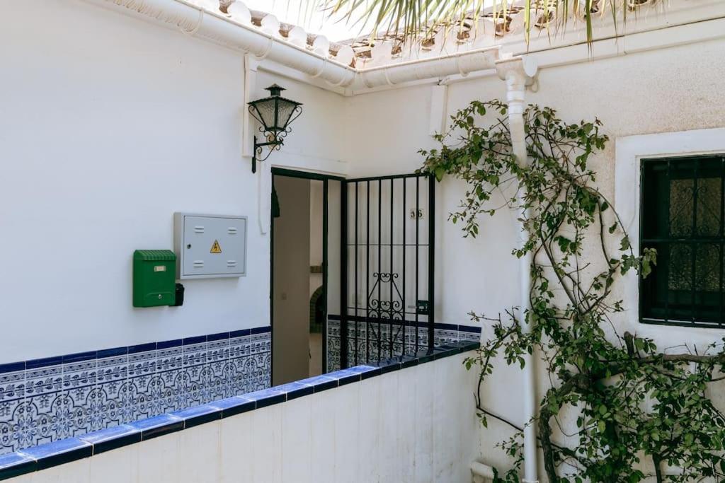 Oasis 16 Apartment Nerja Exterior photo